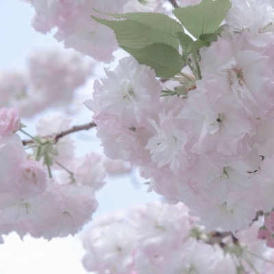 延川FurryQQ群介绍